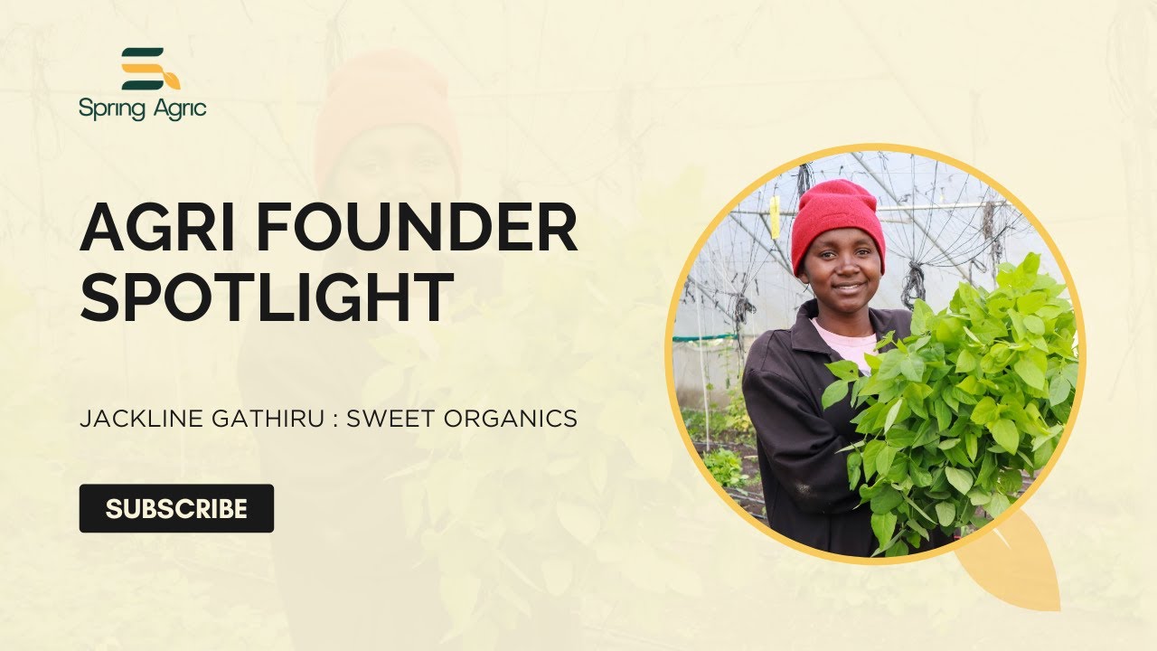 From Herbs to Honey: Jackline's Sweet Organics Journey
